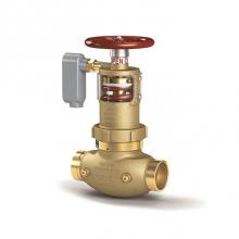 Zurn Industries ZW5004GCAP - 2-1/2'' Pressure Tru® Field Adjustable Pressure Reducing Floor Control Valve (Angle