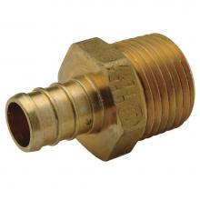 Zurn Industries QQMC66GX - XL Brass - Male Adapter - 1-1/4''  Barb x 1-1/4''  MPT