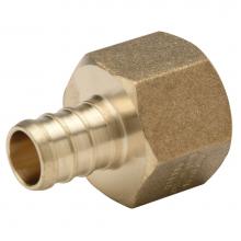 Zurn Industries QQUFC34GX - XL Brass Female (Non Swivel) Pipe Thread Adapter -1/2'' Barb x 3/4'' FPT