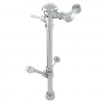 Zurn Industries Z6000AV-WS1-BWN - 1.6 GAL EXPOSED VALVE W/BWN