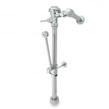 Zurn Industries Z6000PL-WS1-BWN - 1.6 GAL EXPOSED VALVE 'BWN'