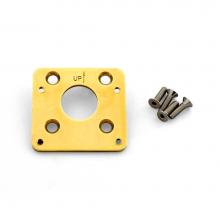 Zurn Industries Z7000-AP - Temp-Gard® Anchor Plate Assembly with Screws for Wall-Mount Shower Heads on Tile, Chrome-Plat