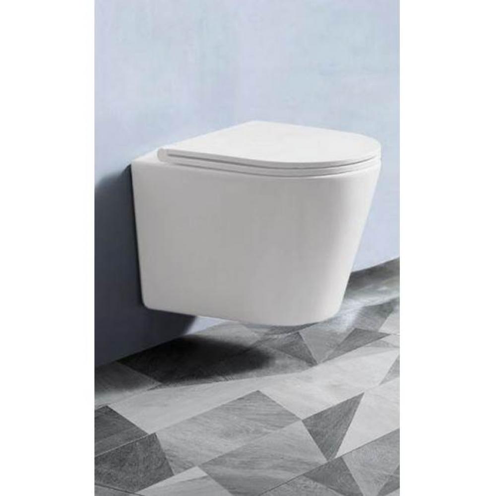Vista Wallhung Toilet Bowl Euro EL White