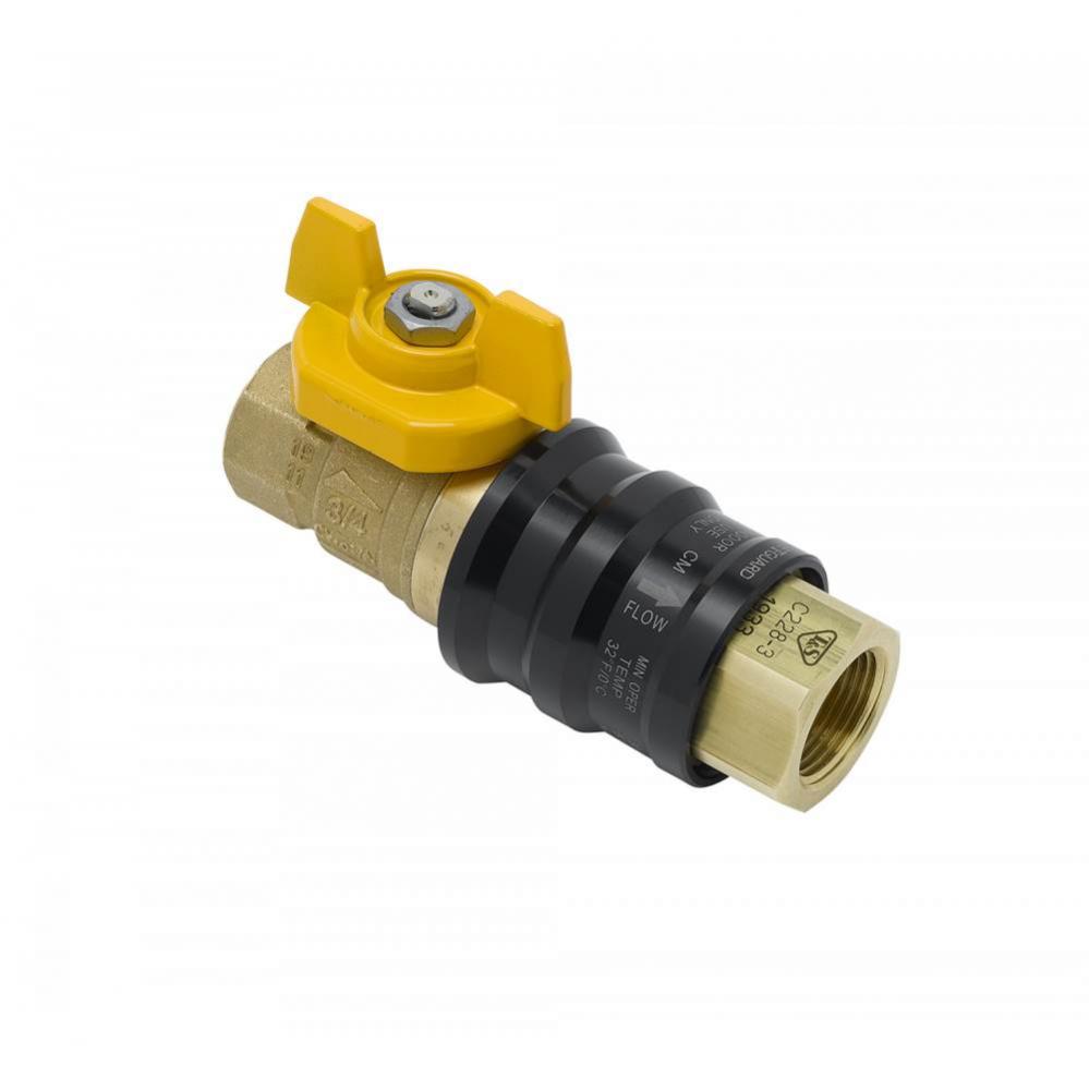 1/2'' NPT QD Valve Combination Device (Safe-T-Guard QDV)