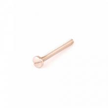 T&S Brass 002819-45 - Screw B-512 Escutheon