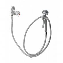 T&S Brass B-0169-01 - Single Temp Wall Mount Faucet w/ Angled Spray Valve, 96'' Hose, Vacuum Breaker, Wall Hoo