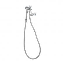 T&S Brass B-0170 - Spray Assembly, Single Hole Wall Mount Base w/ VB, Angled Spray Valve, Flexible Hose