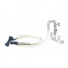 T&S Brass B-0273 - Washdown Station: 8'' Wall Mount Faucet, VB, 10' Creamery Hose, Quick-Disconnect, W