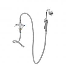 T&S Brass B-0300-102A - Dual Pantry Base Faucet with B-0102-A Hose & Hook Nozzle, Eternas, B-0104-D Wall Hook