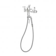 T&S Brass B-0610 - Pot Filler, Wall Mount, 8'' Centers, Vacuum Breaker, 68'' Hose w/ Self-Closing