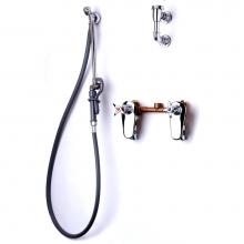 T&S Brass B-0680-ST - Bedpan Washer, Mixing Faucet, Loose Key Stops, Vac. Breaker, Self Closing Valve