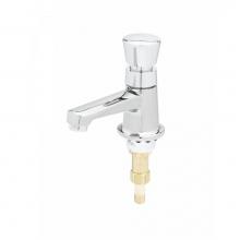 T&S Brass B-0712-F05 - Sill Faucet, Self-Closing Metering, 1/2'' NPSM Male Shank, 0.5 GPM Outlet Device