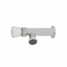 T&S Brass B-0800-F10 - Metering Faucet, Single Temperature, 1/2'' NPT Female Inlet, 1.0 GPM Rosespray Outlet