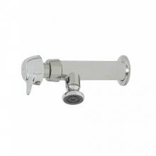 T&S Brass B-0800-PA - Wash Sink Faucet, Pivot Action Metering, 1/2 NPT-F Inlet, Rosespray