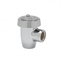 T&S Brass B-0969 - Vacuum Breaker, 1/2'' NPT Inlet & Outlet, Atmospheric, Polished Chrome Finish