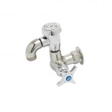 T&S Brass B-2301 - Sill Faucet, Single Hole, Vacuum Breaker, 3/4'' Hose Thread Outlet, Polished Chrome