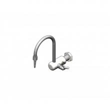 T&S Brass BL-9520-01 - Lab Faucet, Wall Mount, Gray PVC, Rigid Gooseneck, Serrated Tip, 3/8'' NPT Female Inlet