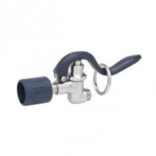 T&S Brass S-0107-J - Stainless Steel 1.07 GPM Spray Valve (Blue)