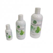 Amerec Sauna And Steam 9253-1731 - Eucalyptus - 16oz. ( To be used with aromatherapy system )