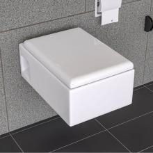 Alfi Trade WD333 - EAGO WD333 Square Modern Wall Mount Dual Flush Toilet Bowl