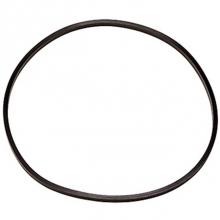 American Plumber 151254 - Square Cut O-ring for Heavy-Duty Clear Housings (W10-BC & W15-BC)