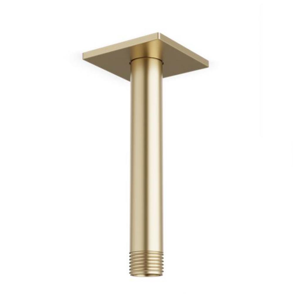 Ceiling Mount 4.75'' Shower Arm R+S Escutcheon, Satin Brass