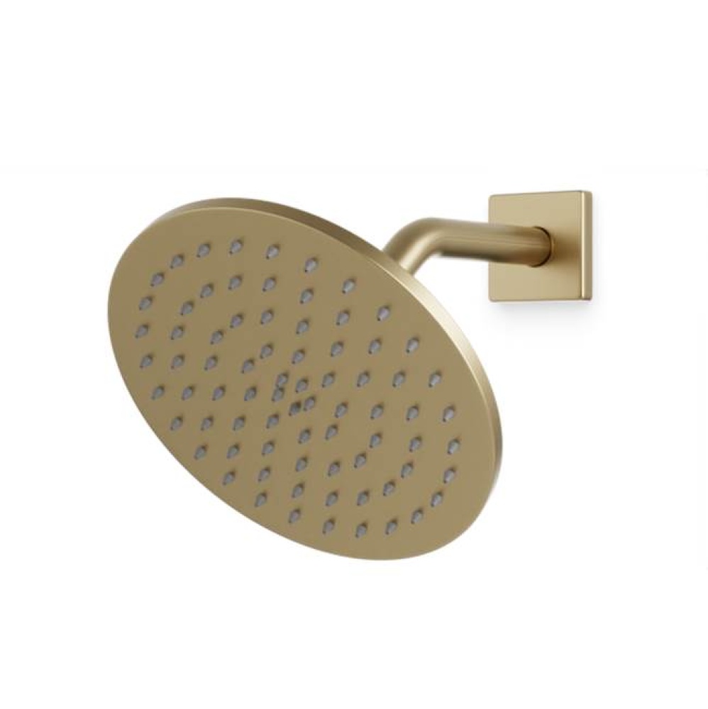 R+S 8'' Shower Rainhead Wall Mount, Angled Arm, Satin Brass