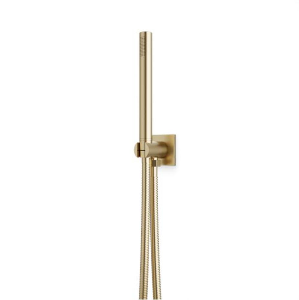 Square & Round Flexible Hose Shower Kit, Satin Brass