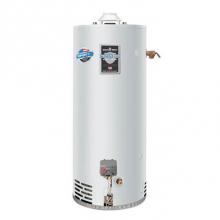 Bradford White LG250H653N - 48 Gallon Light-Duty Commercial Gas (Natural) Atmospheric Vent Water Heater