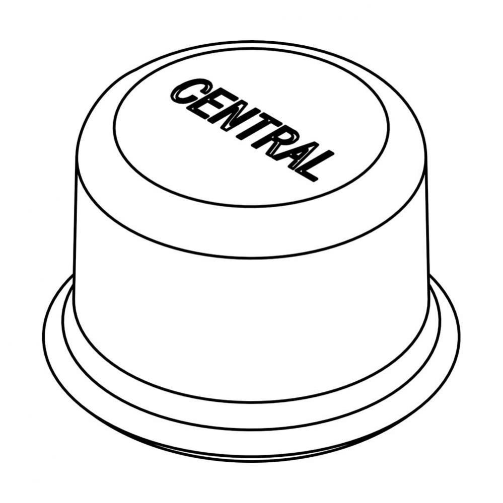 Bubbler Head-Cap Button