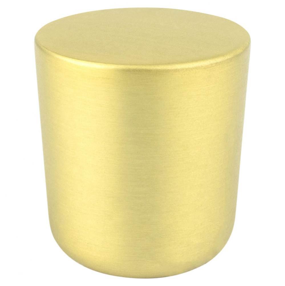 Mini Soft Gold Large Round Knob
