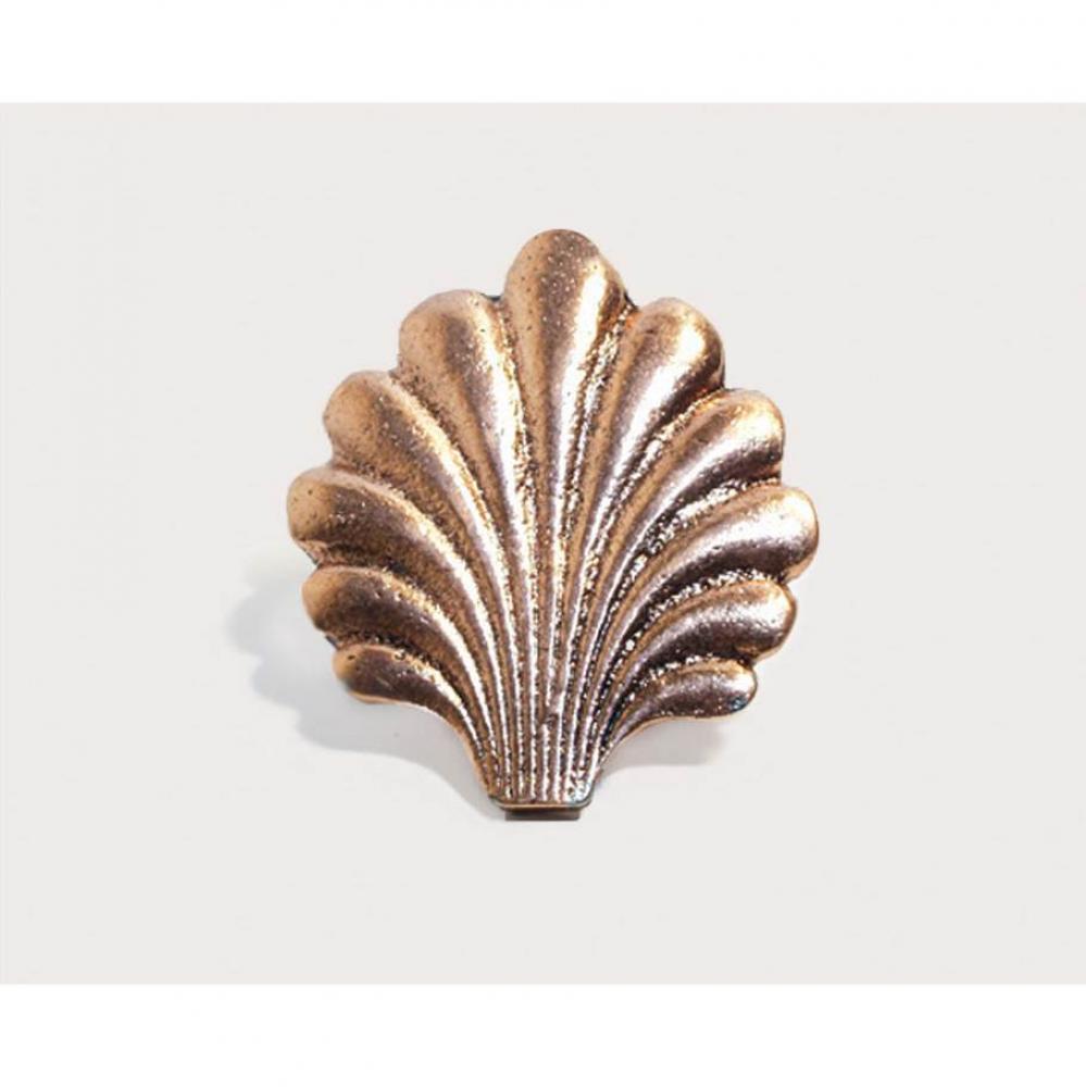 Sea Shell 2''x1-3/4''