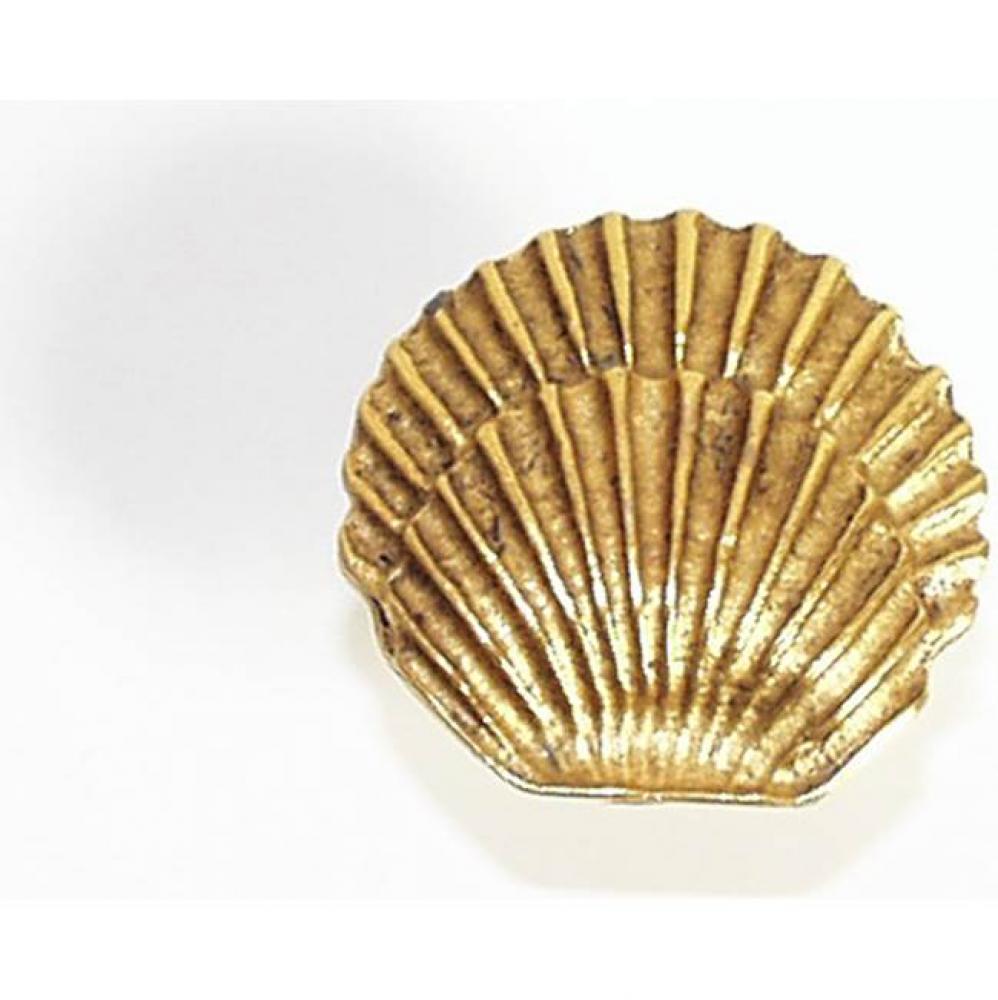 Round Seashell 1-3/8''x1-1/2''