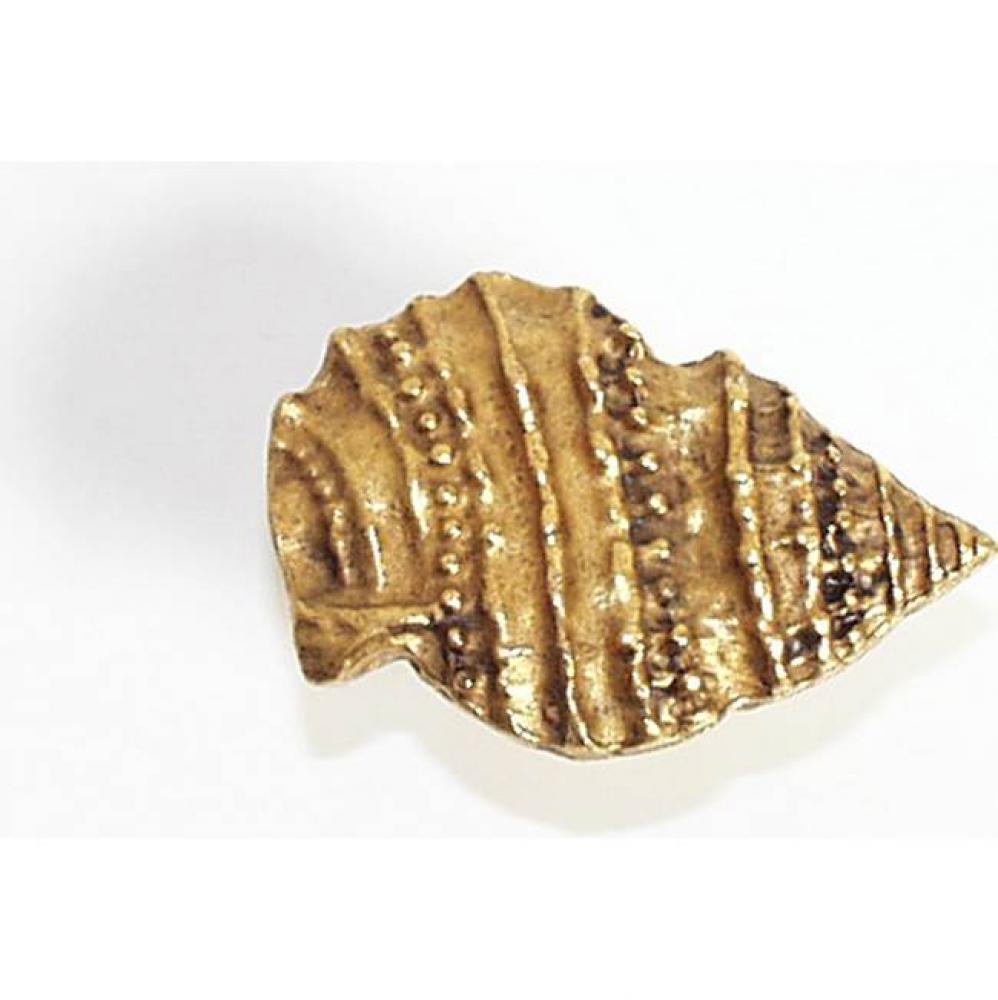 Pointed Seashell  1-3/4''x1-1/4''