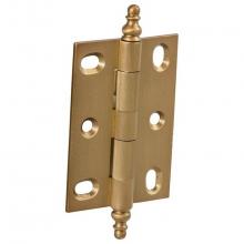 Hafele 354.36.500 - Elite Hinge Mort Lg Brs Brushed 63X45Mm