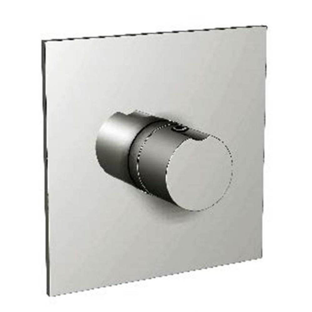 Toro Thermostatic Trim With Solid Brass Square Plate And Single