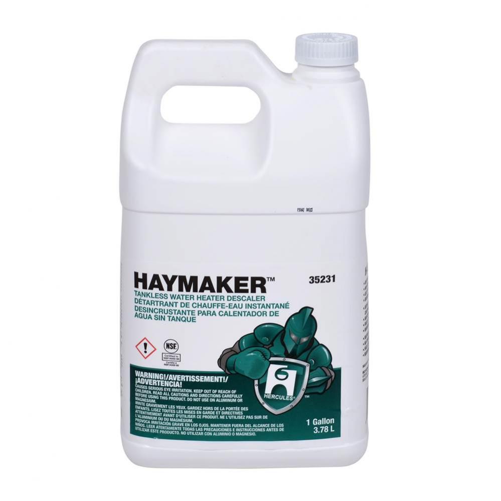 Gal Haymaker Tankless Wh Descaler