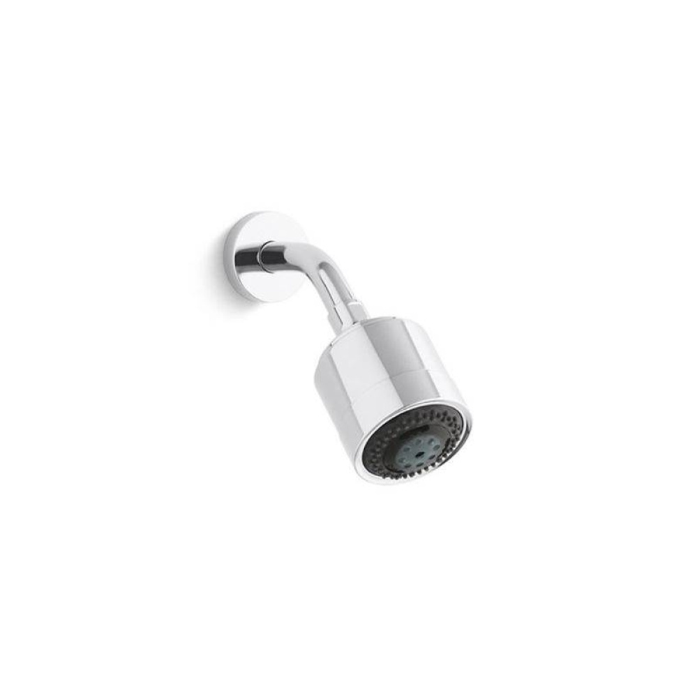 Showerhead, Contemporary Multi-Function