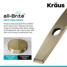 Kraus DP02SFACB - Deck Plate for Kitchen Faucet in Spot Free Antique Champagne Bronze