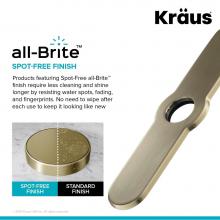 Kraus DP03SFACB - Deck Plate for Kitchen Faucet in Spot Free Antique Champagne Bronze