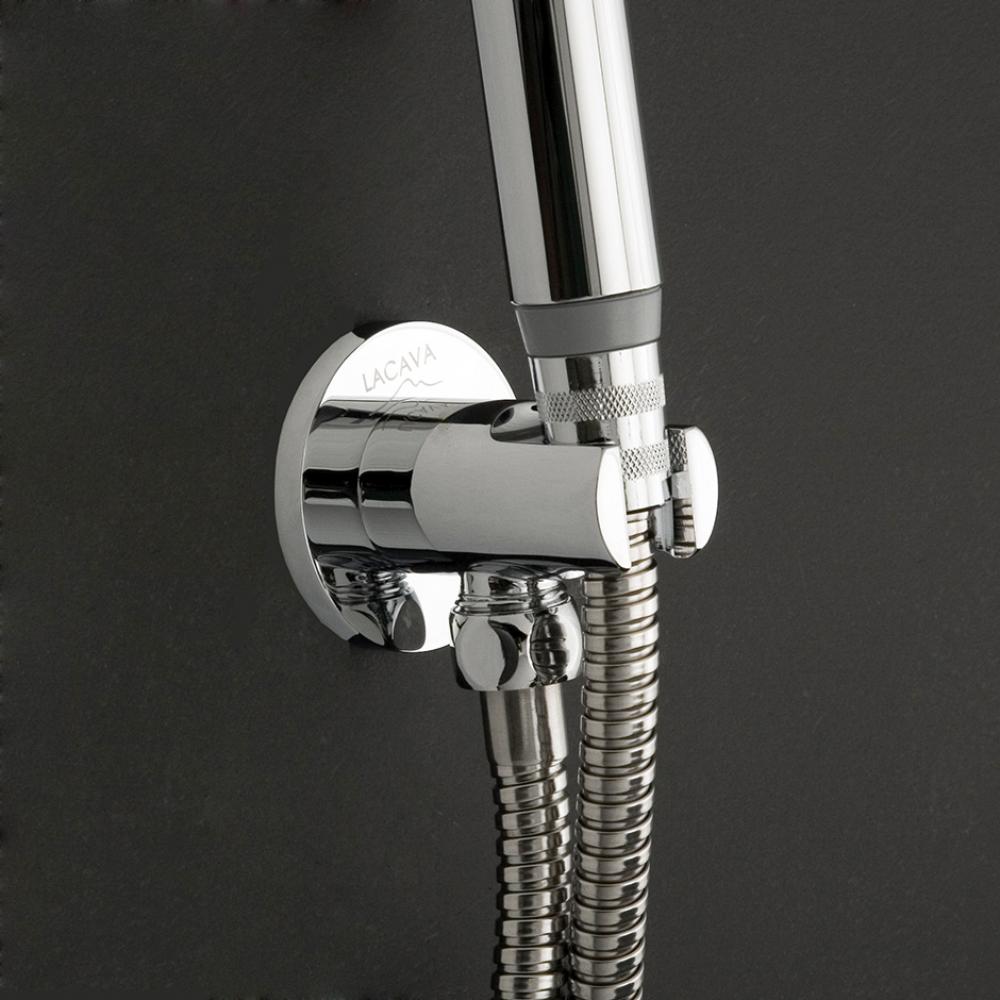 Water intake with a hook for hand-held shower head