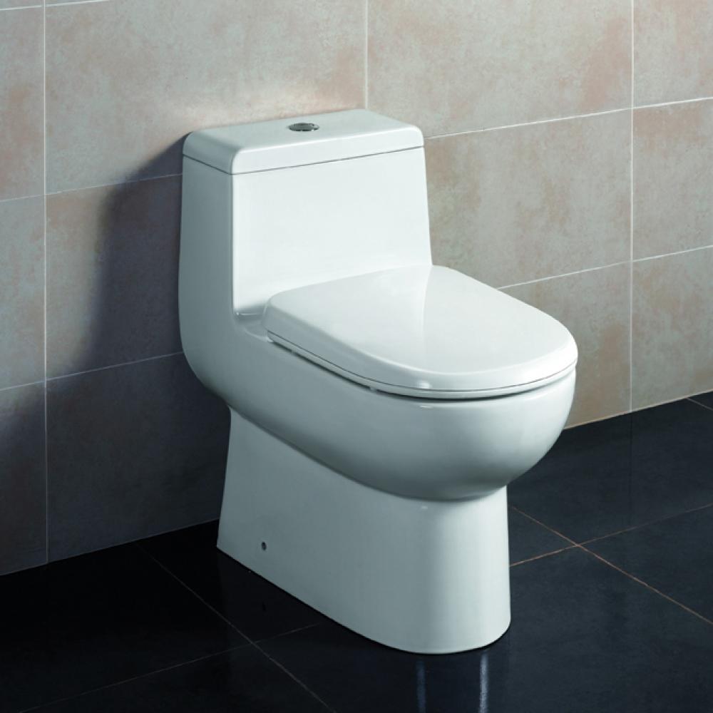 Floor-Standing elongated one-piece porcelain toilet with siphonic dual flush system 1.