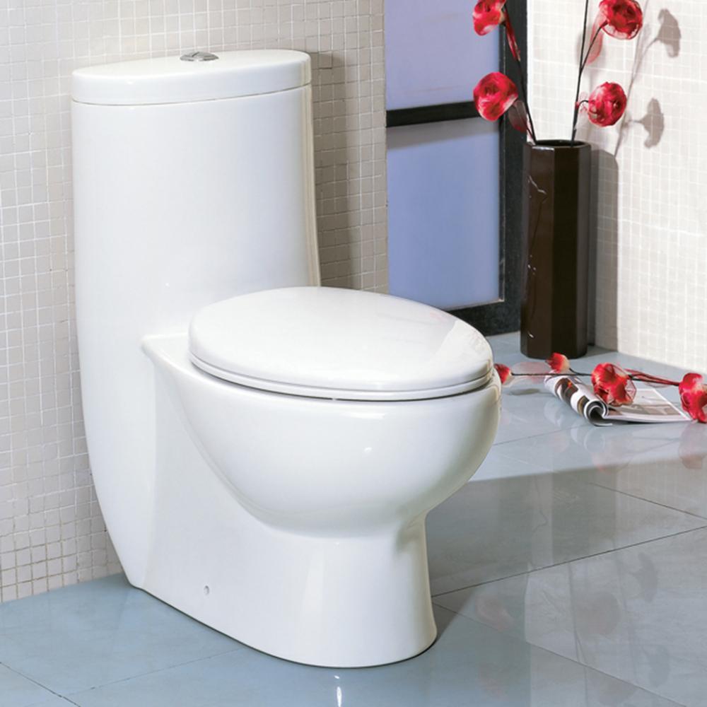 Floor -standing elongated one-piece porcelain toilet with siphonic dual flush system 1.