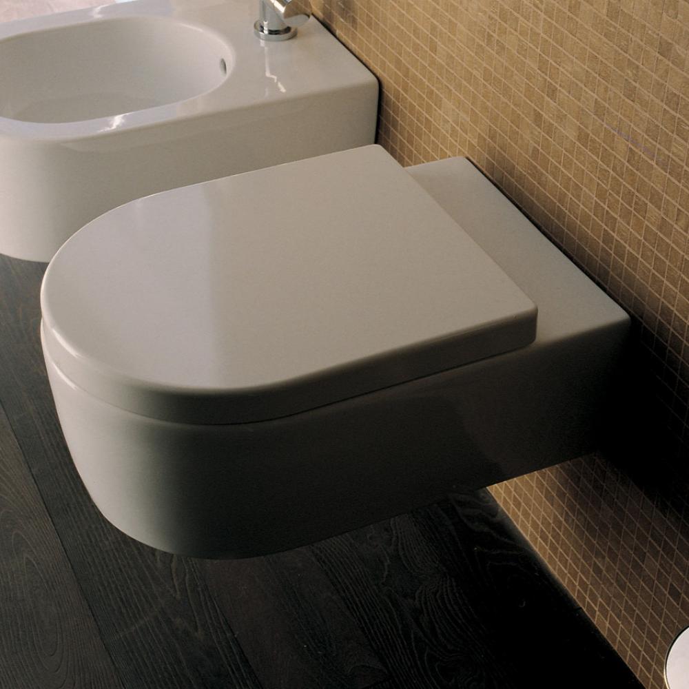 Wall-hung porcelain toilet for concealed flushing system ( Geberit #GE 111335005).