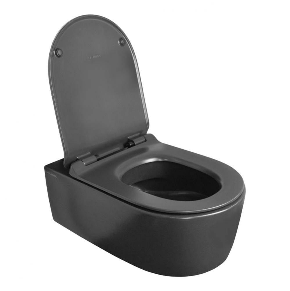 Wall-hung porcelain toilet for concealed flushing system ( Geberit #GE 111335005).