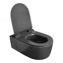 Lacava N5051WC-MB - Wall-hung porcelain toilet for concealed flushing system ( Geberit #GE 111335005).