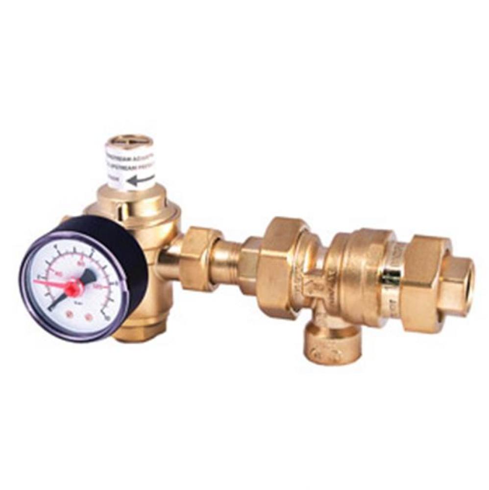 Auto Fill with Backflow & Gauge - FNPT