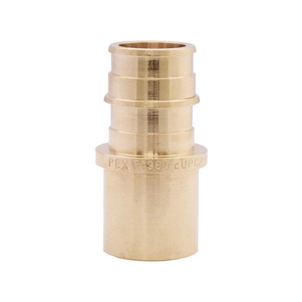 1/2'' No Lead / DZR Brass F 1960 PEX Fitting Adapter