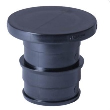 Legend Valve 461-999 - 2'' F1960 PPSU TEST PLUG