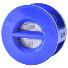 Legend Valve 116-238 - 10'' T-312 Ductile Iron Wafer Check Valve, Stainless Steel Disc